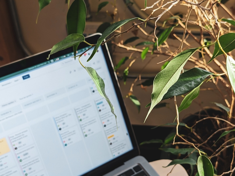 SEO experts regio Utrecht
