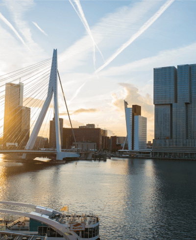 zoekwoorden en online marketing specialist Rotterdam