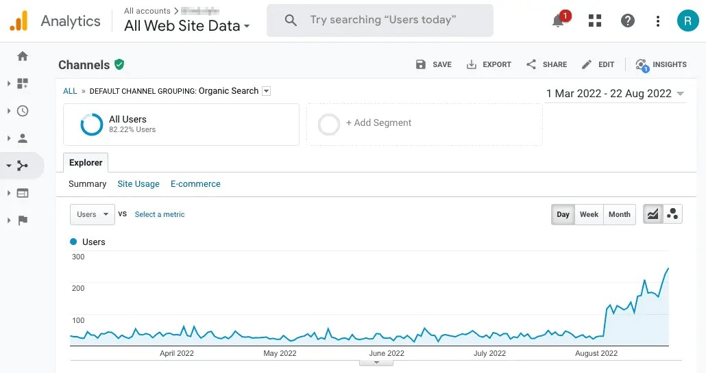 Kitchen specialty store Google Analytics before SEO campaign