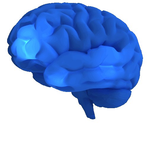Google Rankbrain